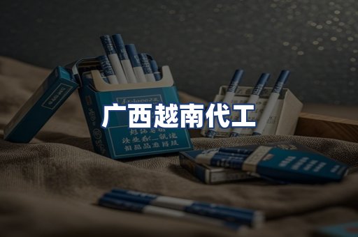 广西越南代工